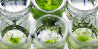 Application of Bioreactor Fermenter in Algal Biotechnology